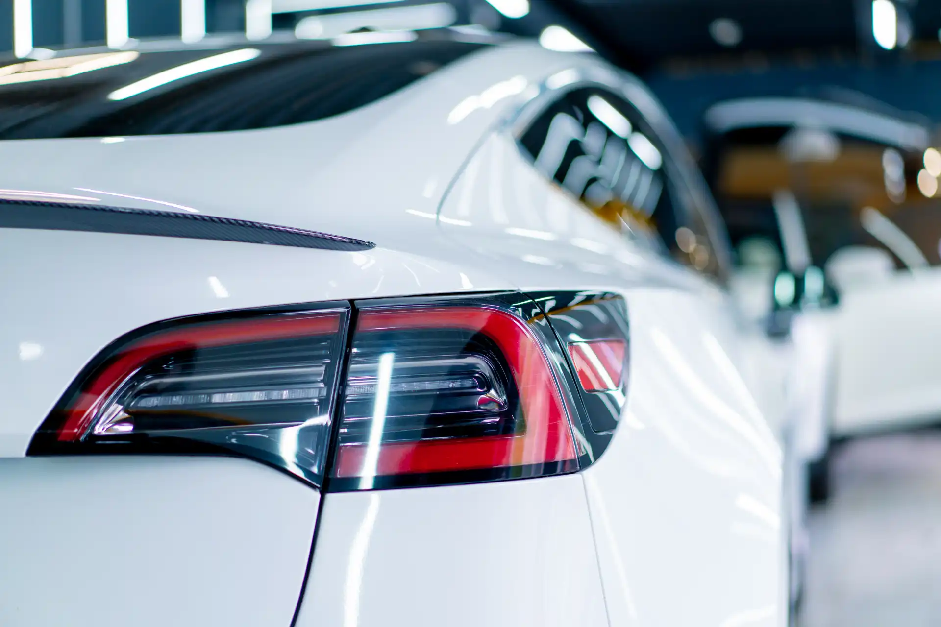 detailing-bumper-and-tailight